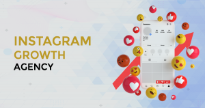 Instagram Growth Agency