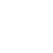 Ecommerce Icon