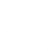 Political Campaigns Icon