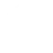 Real Estate Icon